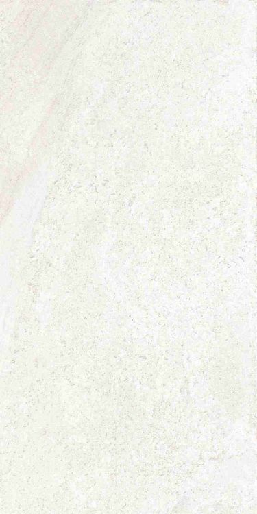 Petra Viva Bone Matte 12 x 24